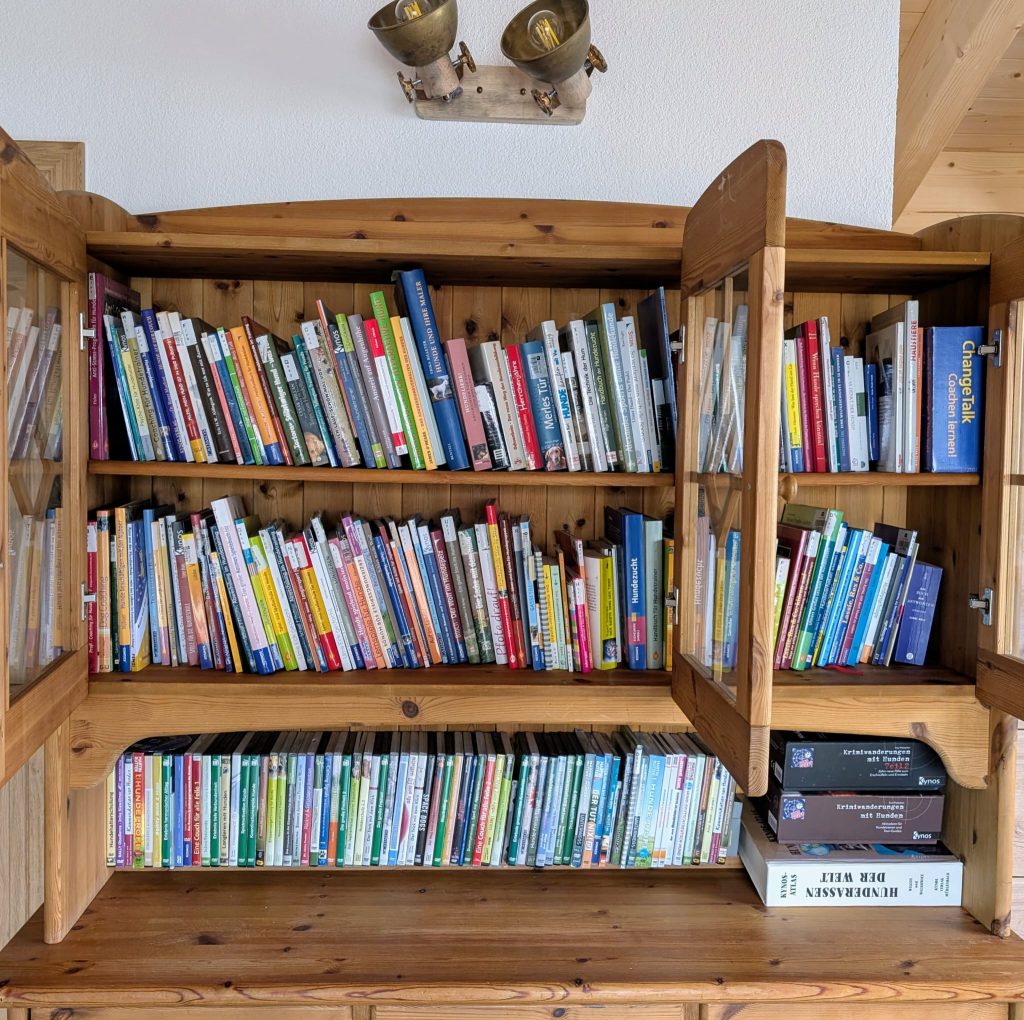 0b2ed28c-6f8a-48bc-9014-a64fc153edae