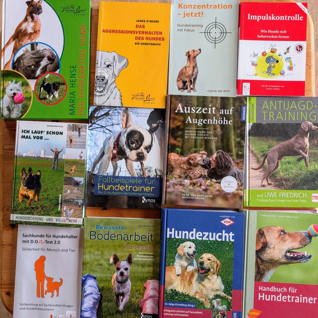 789286ba-7ce6-461a-97ce-cfbc7312ff2b