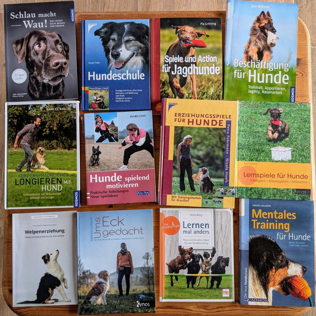 7d47bbd6-9d76-475f-b8a1-69255adb9186