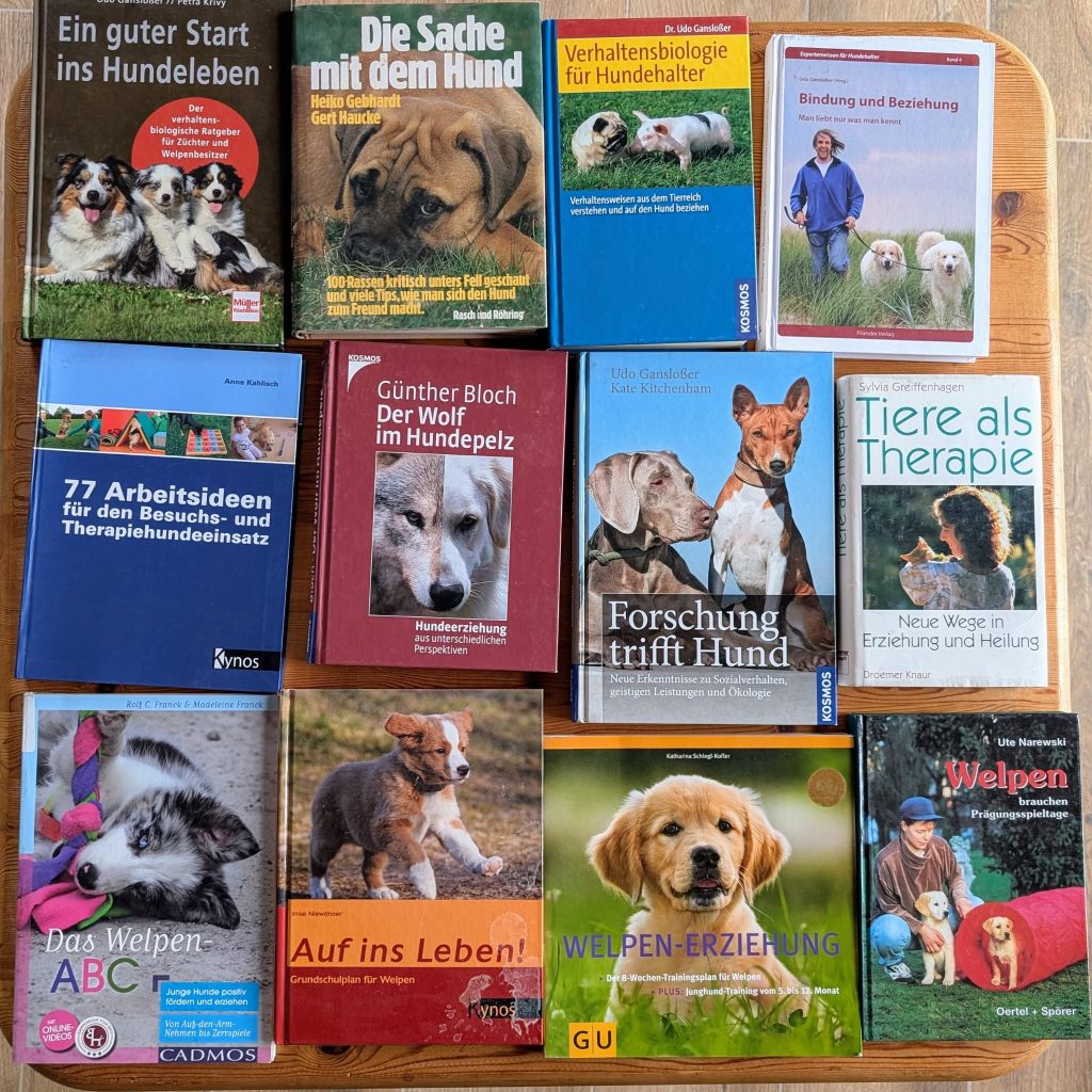 c41f6eb7-c5ad-4e51-9664-392d31bfea1f